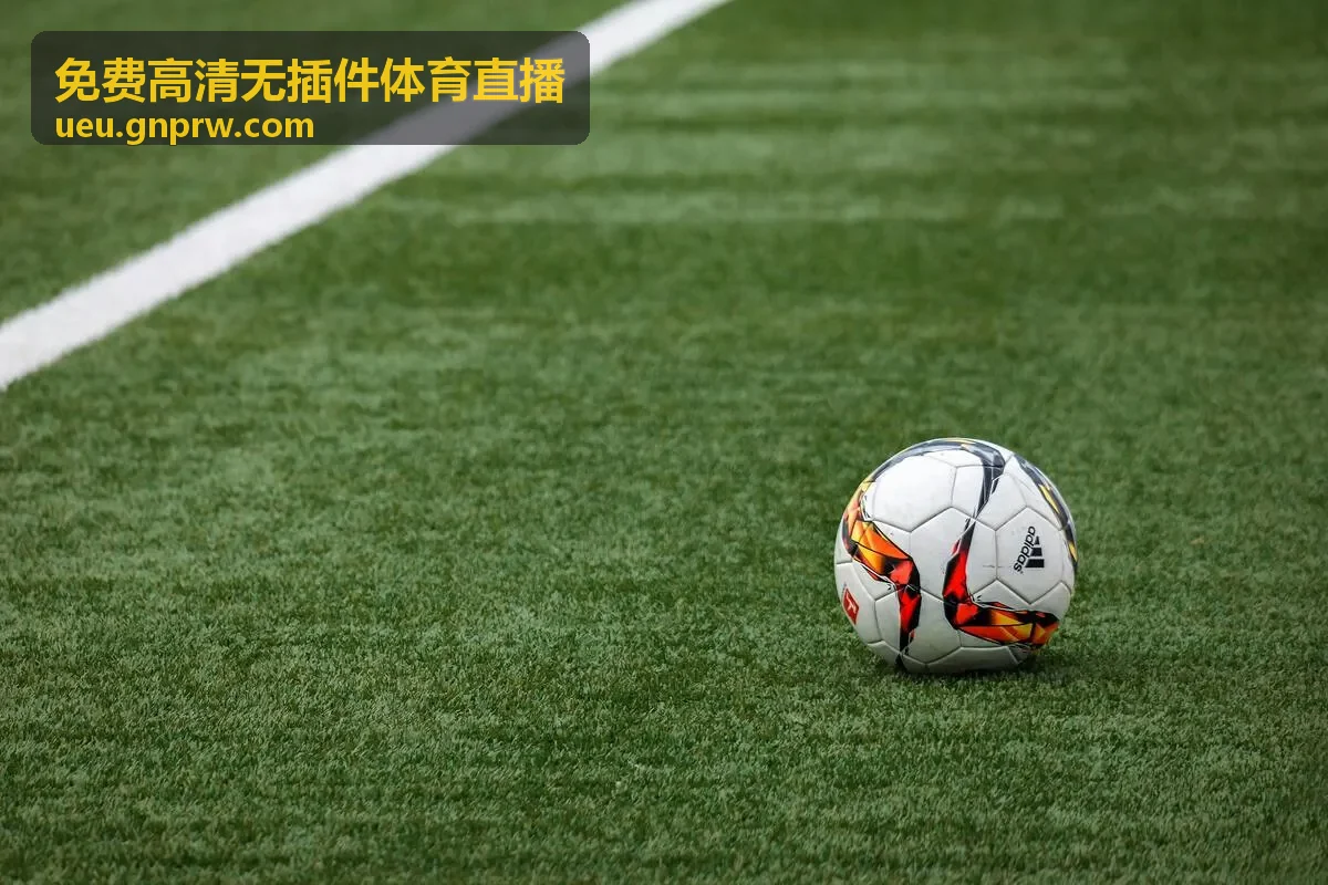 泰拳比赛高清免费在线直播